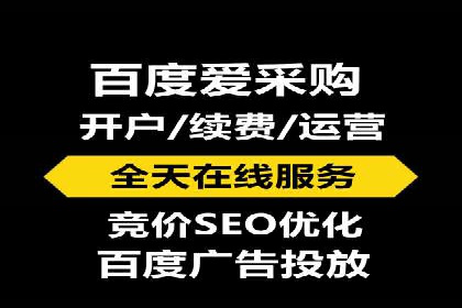 百度推广实战：案例分享与数据解读